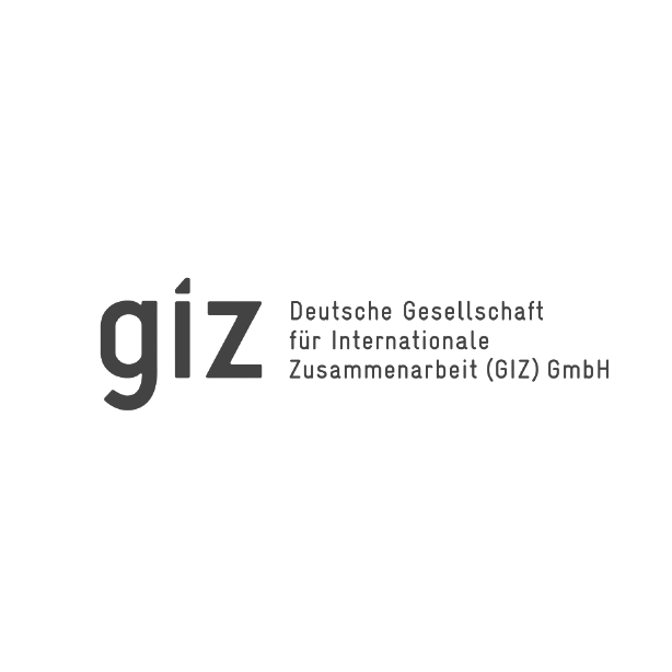 giz logo